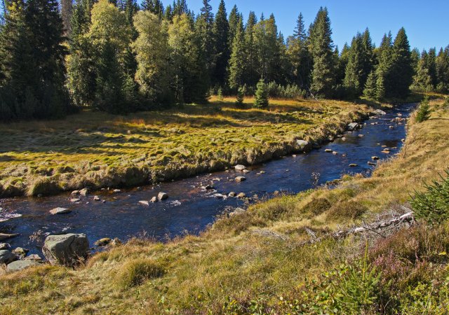 Šumava