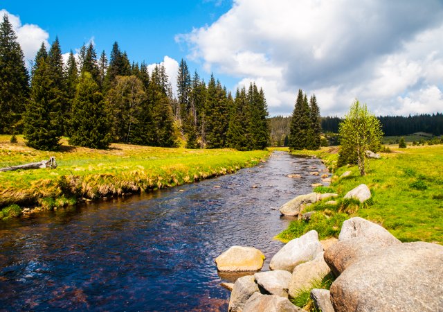 Šumava
