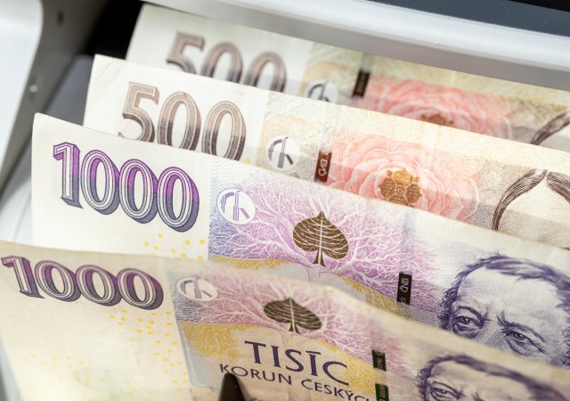 České domácnosti si loni odkládaly stranou 19,2 procenta svých příjmů