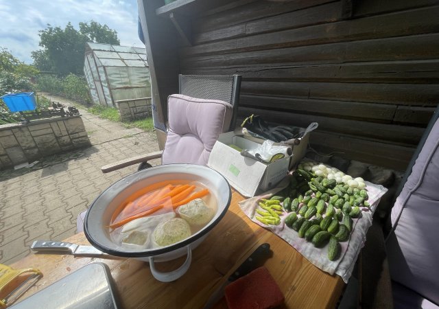 Domácí nakládání okurek je v Česku tradiční