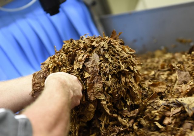 Philip Morris zdvojnásobí investici do závodu v Kutné Hoře