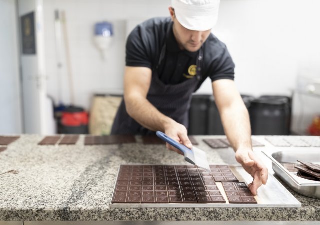 Vědci objevili nový způsob výroby čokolády, bude šetrnější k životnímu prostředí