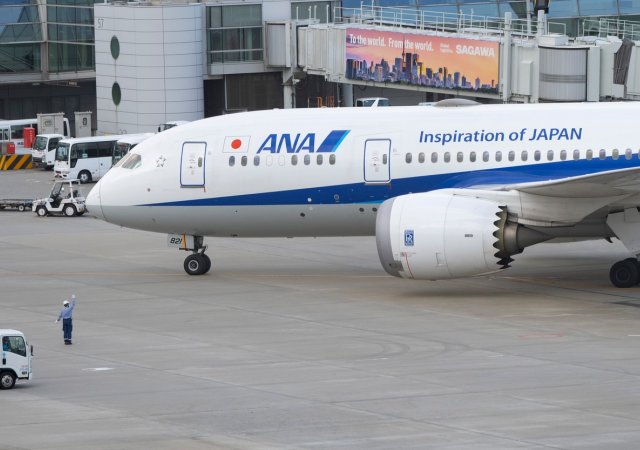 Selhal algoritmus. Aerolinka prodávala letenky za zlomek ceny (na snímku Boeing 787 Dreamliner letecké společnosti All Nippon Airways)