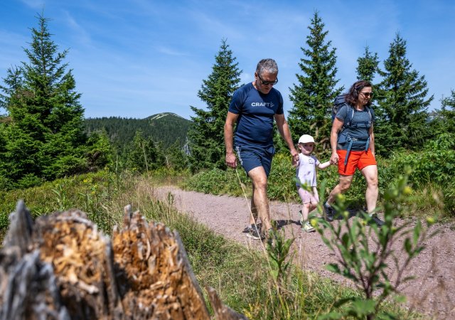 Češi mění plány. Na podzim zůstanou doma a utratí miliardy v Česku