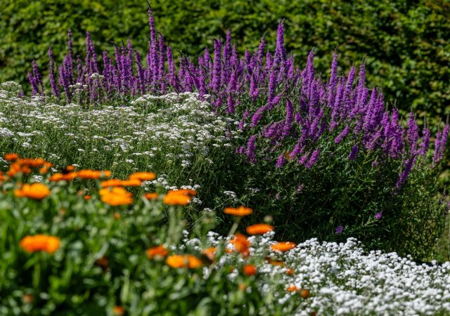 Češi na záhony nezanevřeli ani navzdory zdražování posledních let