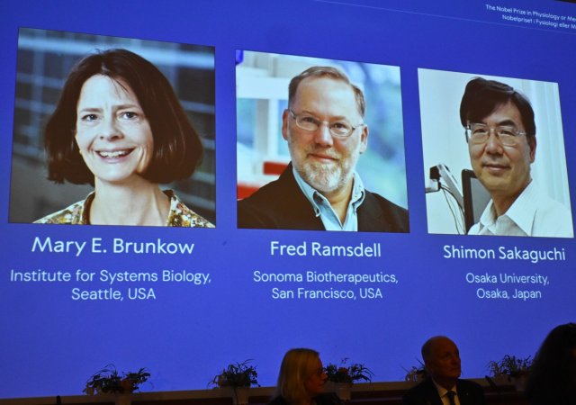 Nobelovu cenu za fyziologii a lékařství letos získali Američané Mary E. Brunkowová a Fred Ramsdell a Japonec Šimon Sakaguči