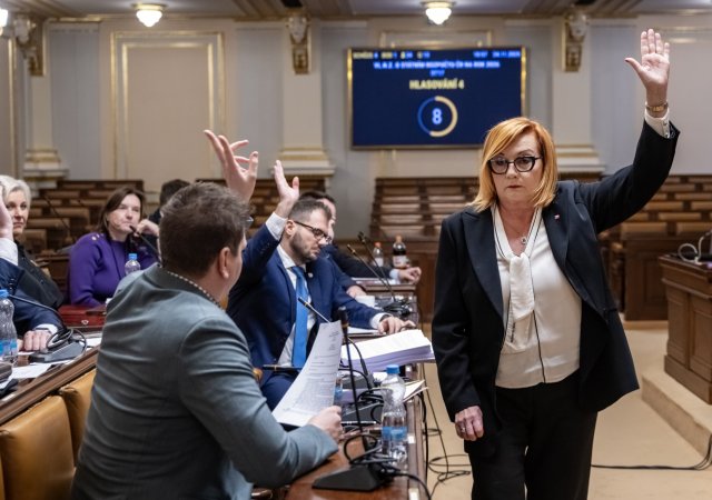 Sněmovní rozpočtový výbor