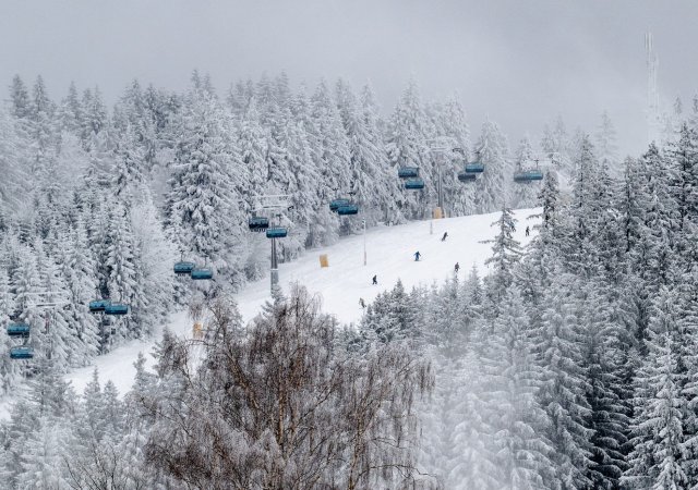 Lyžování v Česku