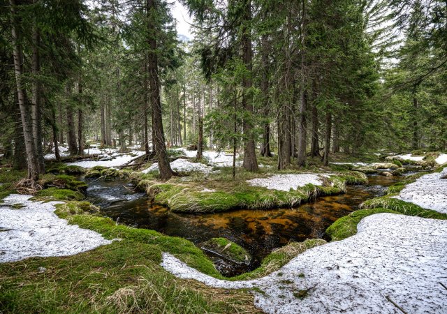 Česko zřejmě čekají další mírné zimy a menší zásoby sněhu