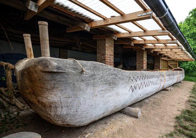 Monoxylon