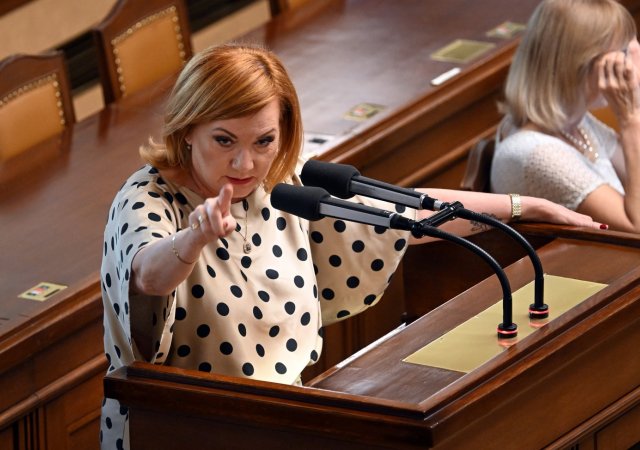 Ministryně financí Alena Schillerová (ANO)