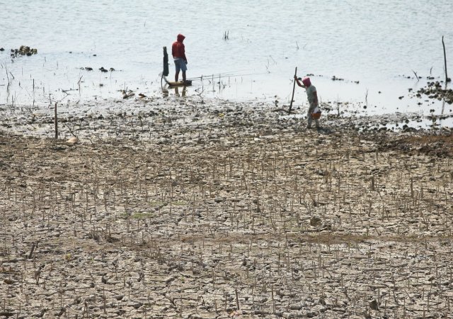 El Niño může do února přispět k úmrtí téměř půl milionu lidí