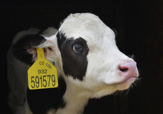 Farmáři chtějí větší dotace