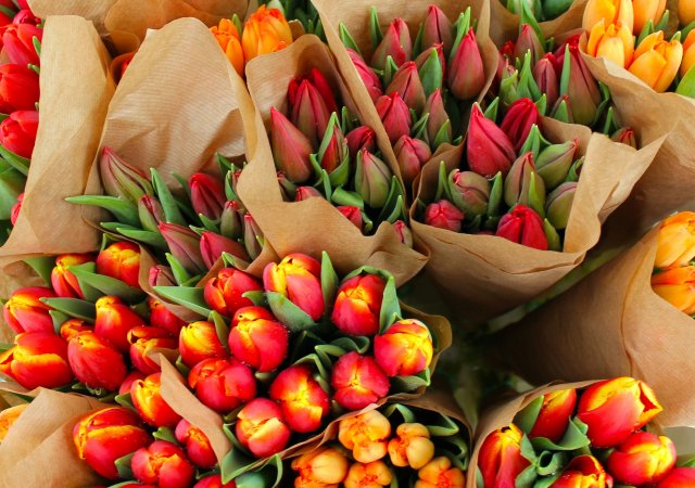 Řezané květiny jsou z 95 procent z dovozu