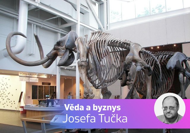 kostra mamuta, Věda a byznys Josefa Tučka
