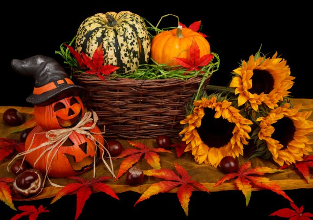 Halloweenská výzdoba