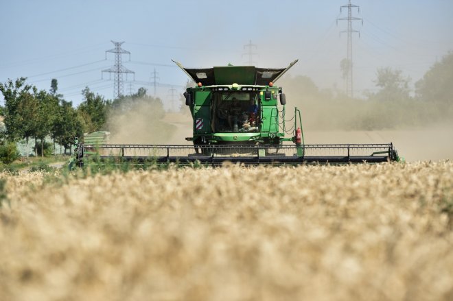 Lukáš Kovanda: Nejhorší úroda obilí za deset let. Hrozí tlak na růst cen pečiva