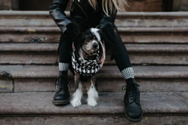 Psí oblečky Dogo Fogo