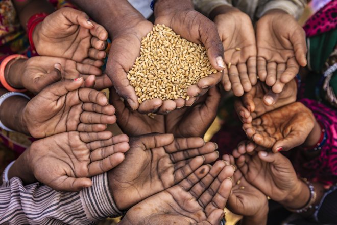 Potravinová krize způsobená ruskou invazí zabije více lidí než covid, varuje Afrika