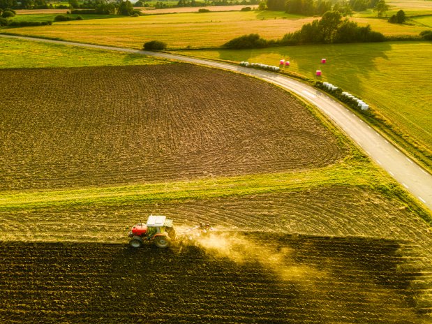 Průměrná tržní cena zemědělské půdy v Česku se za posledních deset let ztrojnásobila. Letos dosáhla 335 tisíc korun za hektar, což je meziroční nárůst o 13,8 procenta. Ve čtvrtém čtvrtletí ale nastal první pokles za poslední dva roky.