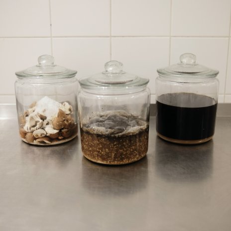 Omáčka garum v různých fázích procesu přípravy, tak jak vzniká ve fermentačním inkubátoru značky Goodlok.