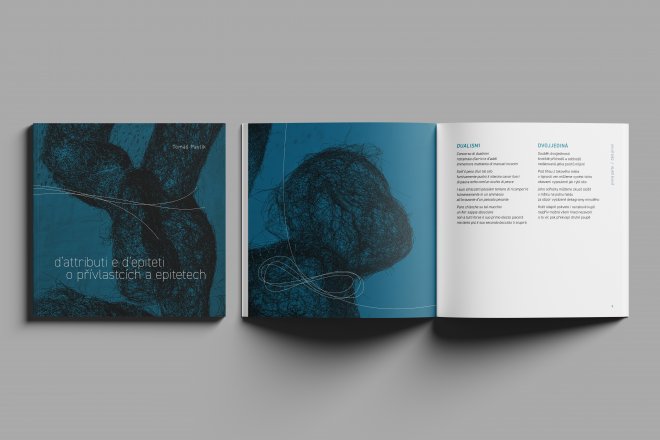 kniha Tomáše Pavlíka