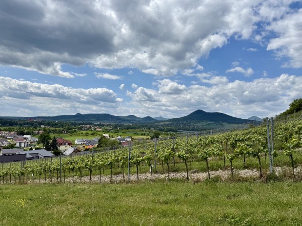 Strmé svahy pod kopcem Radobyl a panorama Českého středohoří