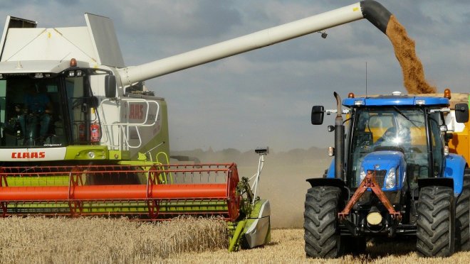 Česko zůstává poslední zemí Visegrádské čtyřky, která dosud nezakázala dovoz ukrajinského obilí.