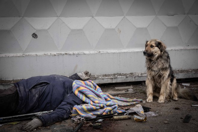 Snímek Vojtěcha Dárvíka Mácy Masakr v Buči se stal vítězem soutěže Czech Press Photo 2022.