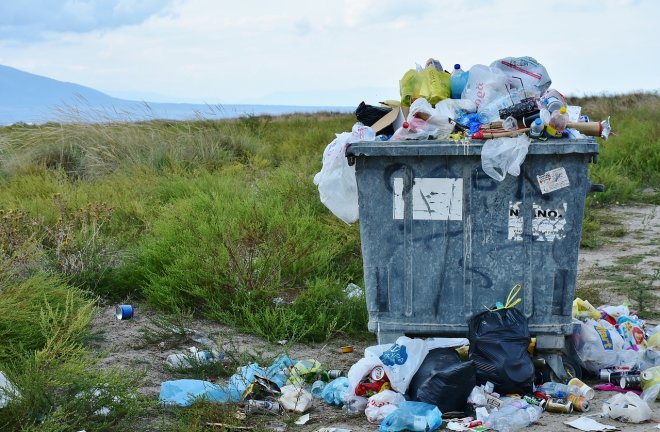 Každý obyvatel Česka vyhodí každý den jídlo za téměř padesát korun.