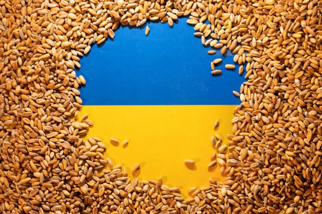 Lukáš Kovanda: Pšenice zdražuje kvůli ruským útokům na ukrajinské sklady. Zakázat, či ne dovoz obilí z Ukrajiny?