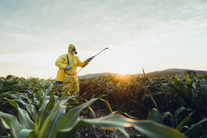 Svět musí uživit osm miliard lidí. Bez vylepšené genetiky, chemie a techniky to nepůjde