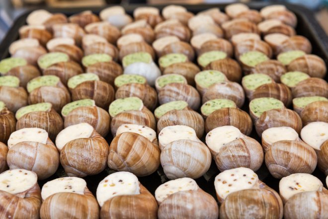 Vánoční šneci: zapomenutá česká tradice, která se vrací na talíře