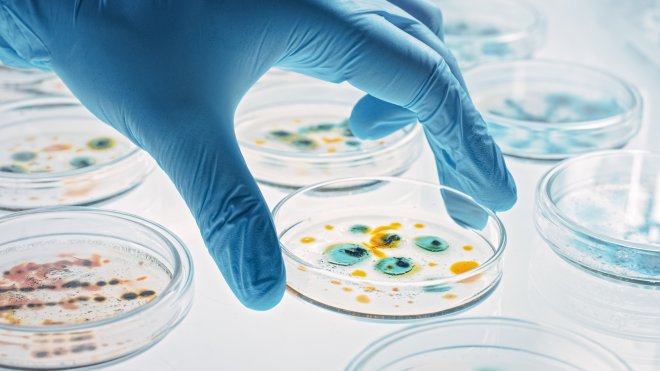 Vědci zkoumají nový typ antibiotik, ničí i odolné bakterie