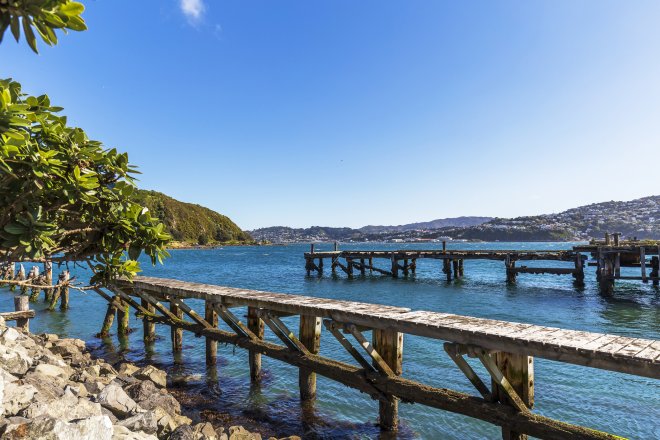 Zátoka Shelly Bay u metropole Wellington na Novém Zélandu