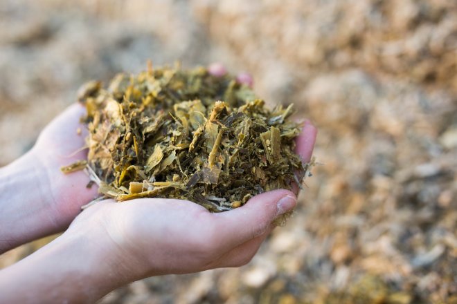 Od pálení whiskey k lepšímu ukládání elektrické energie