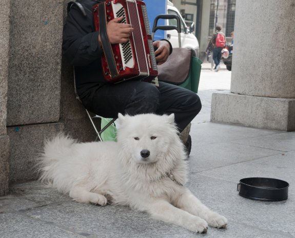 Praha chystá nejsmysluplnější zákaz za poslední roky