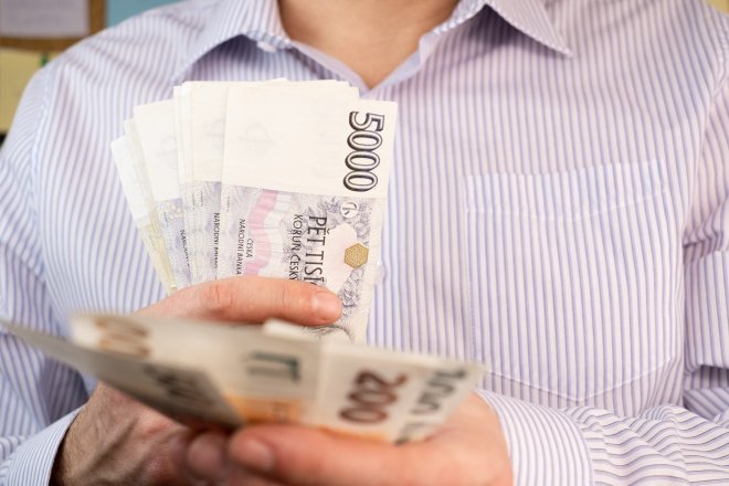 Česká koruna je měnovým vítězem letošního roku