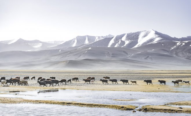 Odvrátí Japonci tání ledovců? Pomoci by jim mohla záhadná anomálie z Tádžikistánu