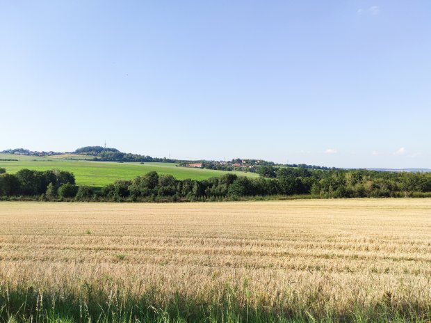 Česko vysychá před očima. Měníme ho v poušť a step, varuje biolog