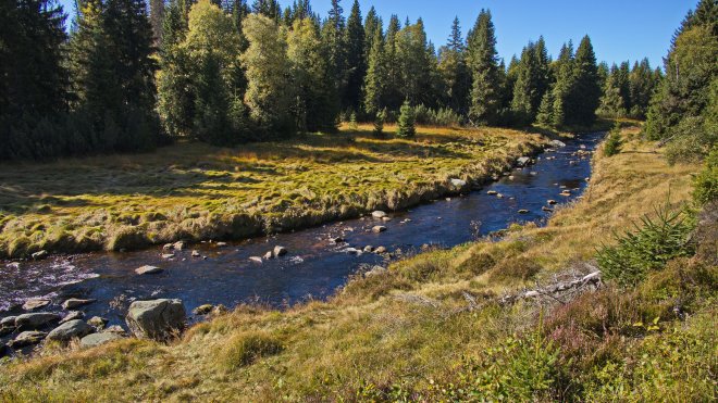Šumava