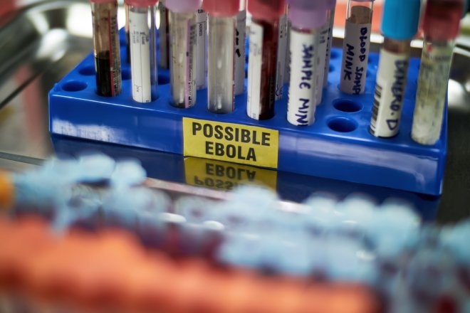 Hantavirus a virus ebola, které se vynořily v posledních týdnech, neohrožují (aspoň zatím) mnoho obyvatel bohatého světa.