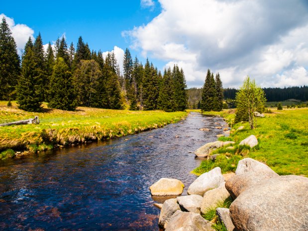 Šumava