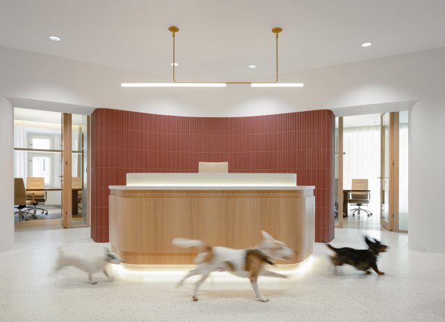 Nové kanceláře v žižkovské Akropoli