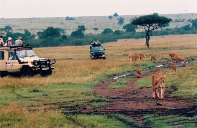 Návštěvníci na safari, ilustrační foto