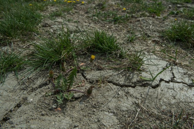 Letošní extrémní sucho ukázalo, že vážný nedostatek vody může postihnout i řeky, které byly dosud považovány za spolehlivé a mimořádně vodnaté