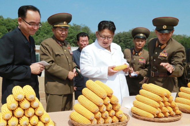 Kim Čong-un si prohlíží úrodu kukuřice (snímek z roku 2016)