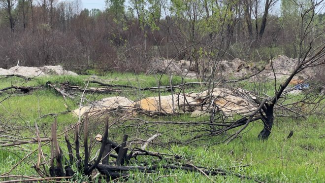 WSJ: Po obilí přišlo na řadu dřevo. Rusové na Ukrajině kácí ve velkém celé lesy