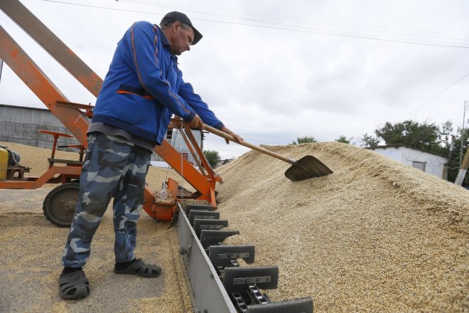 Válka v „obilnici Evropy“ může vyhladovět svět