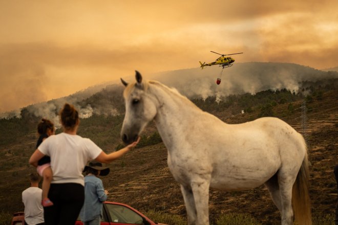 Na Tenerife shořelo šest procent území, plameny postupují pomaleji